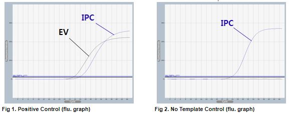 Accupower Ev Real Time Rt Pcr Kit