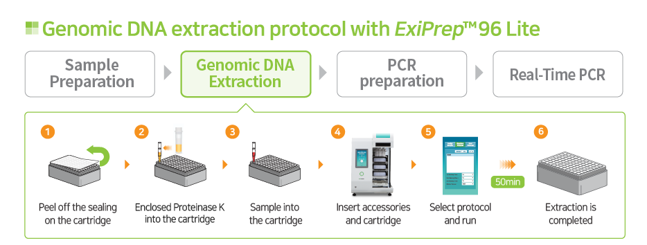 genomic DNA Extraction workflow