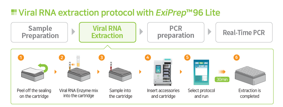 fast viral RNA extraction