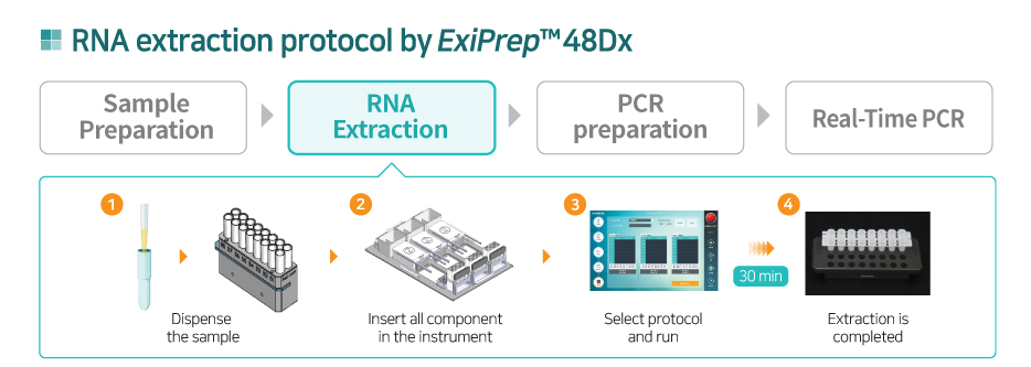 RNA extraction workflow