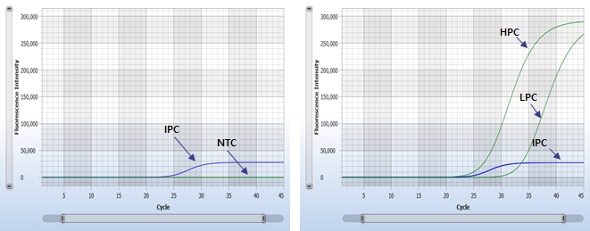 HCV-3116 NTCPC