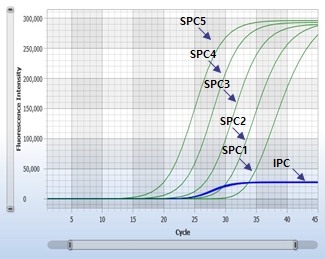 HCV-3116 SPC