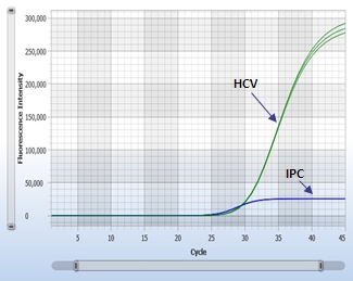 HCV-3116 Targetgraph