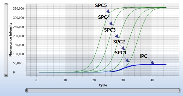 HBV-3116 SPC