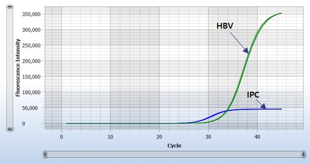 HBV-3116 Targetgraph