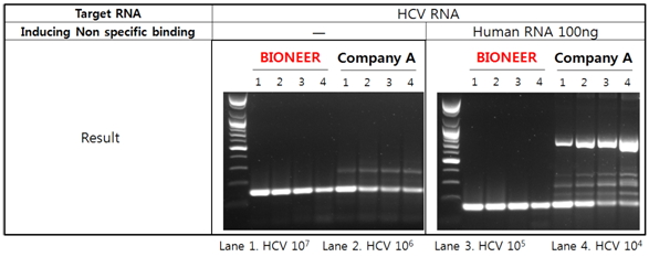 AccuPower Dual-Hotstart™ RT-PCR PreMix