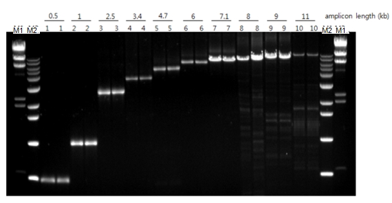 figure1