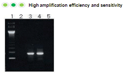 rt pcr figure1