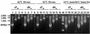 cyclescript figure1