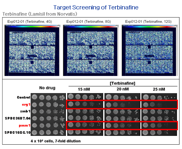 figure2