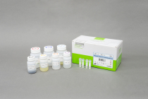 maglisto 5m genomic dna extraction kit 100 reactions