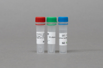 AccuTool™ Recombinant SpCas9 WT protein (50 μgx2)