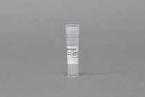 AccuTool™ pRGEN-Cas9-Ef1a nickase(D10A) (50 μg)