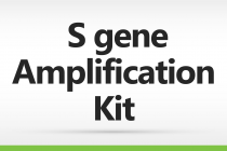 Sanger Sequencing Primer set for SARS-CoV-2 S gene Analysis