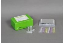 AccuPower® HPV 16&18 Real-Time PCR Kit