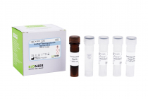 AccuPower® Aeromonas salmonicida Real-Time PCR Kit