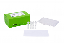 AccuPower® Plus DualStar™ qPCR PreMix (with UDG), ABI7500 96-well plate ...