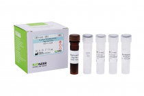 Accupower® Bordetella Pertussis Real-time Pcr Kit