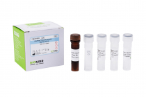 AccuPower® Prevotella intermedia Real-Time PCR Kit