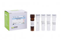 AccuPower® Citrobacter koseri Real-time PCR Kit