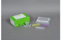 AccuPower® MTB u0026 NTM Real-Time PCR Kit