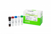 sars cov 2 multiplex real time rt pcr