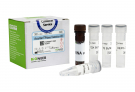 AccuAlert™ RNase Detection Kit