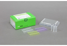AccuPower® STI4C-Plex Real-Time PCR Kit