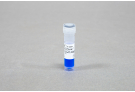 AccuPower® RT-PCR Master Mix (2X, 1ml)