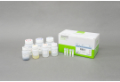 Genomic DNA Extraction Kit, genomic DNA, extraction, prep, sample prep, DNA extraction