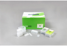 Exiprep™ 48 genomic DNA Kit