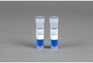 AccuPower® GoldHotstart Taq PCR MasterMix (2X, 2.5 ml)