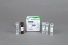 AccuPower® Dual-HotStart™ RT-qPCR Master Mix (2X, 2.5 ml)