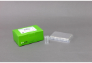 The One-step RT-qPCR Reagents using hydrolysis probe applied with HotStart Technology, rt qPCR premix, rt qPCR master mix, rt qPCR, AccuPower, taqman probe