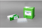 AccuPower® Dual-HotStart™ RT-PCR PreMix (480 T, 50 μl)