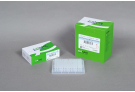 For Multiplex PCR (up to 20-plex) Dried-type Premix, PCR premix, PCR, premix, master mix, AccuPower