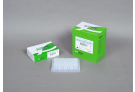 Hostrart PCR kit for high specificity applying Bioneer’s global patent technology, hotstart PCR, PCR premix, PCR, premix, AccuPower