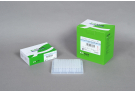 AccuPower® HotStart PCR PreMix (with UDG) (480 T, 20 μl)