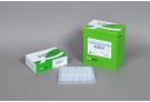 AccuPower® HotStart Pfu PCR PreMix (480 T, 50 μl)