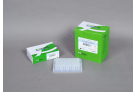 For Standard PCR with Top DNA Polymerase, PCR premix, PCR, premix, master mix, AccuPower