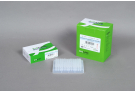 AccuPower® PyroHotStart Taq PCR PreMix (480 T, 20 μl)