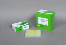 AccuPower® RocketScript™ RT-PCR PreMix (480 T, 20 μl)