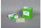 AccuPower® RocketScript™ RT-PCR PreMix, RNase H Minus, 480 tubes, 20 µl/rxn