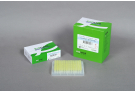 AccuPower® RT/PCR PreMix (480 T, 20 μl)
