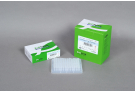 AccuPower® Taq PCR PreMix (480 T, 20 μl)
