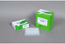 AccuPower® Taq PCR PreMix (480 T, 20 ul, Negative dye)