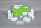 Extract Plasmid DNA for 96 well vacuum manifold, Plasmid extraction, vacuum, prep, sample prep, DNA extraction