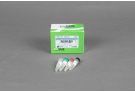 Cell-Free Protein Expression manual kit, protein expression