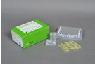 AccuPower® ApoE Real-Time PCR Kit
