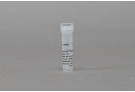 AccuTool™ dRGEN-CjCas9 (sgRNA plasmid) (1~2 μg)